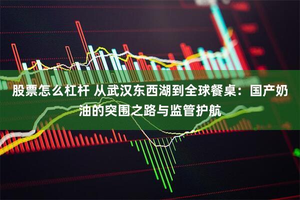 股票怎么杠杆 从武汉东西湖到全球餐桌：国产奶油的突围之路与监管护航