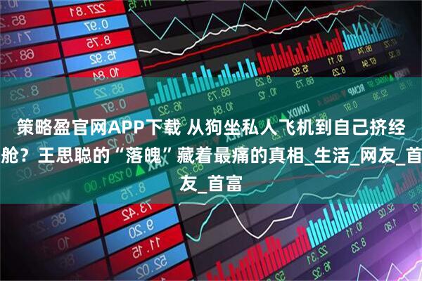 策略盈官网APP下载 从狗坐私人飞机到自己挤经济舱？王思聪的“落魄”藏着最痛的真相_生活_网友_首富