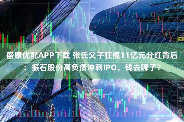 盛康优配APP下载 张氏父子狂揽11亿元分红背后：振石股份高负债冲刺IPO，钱去哪了？